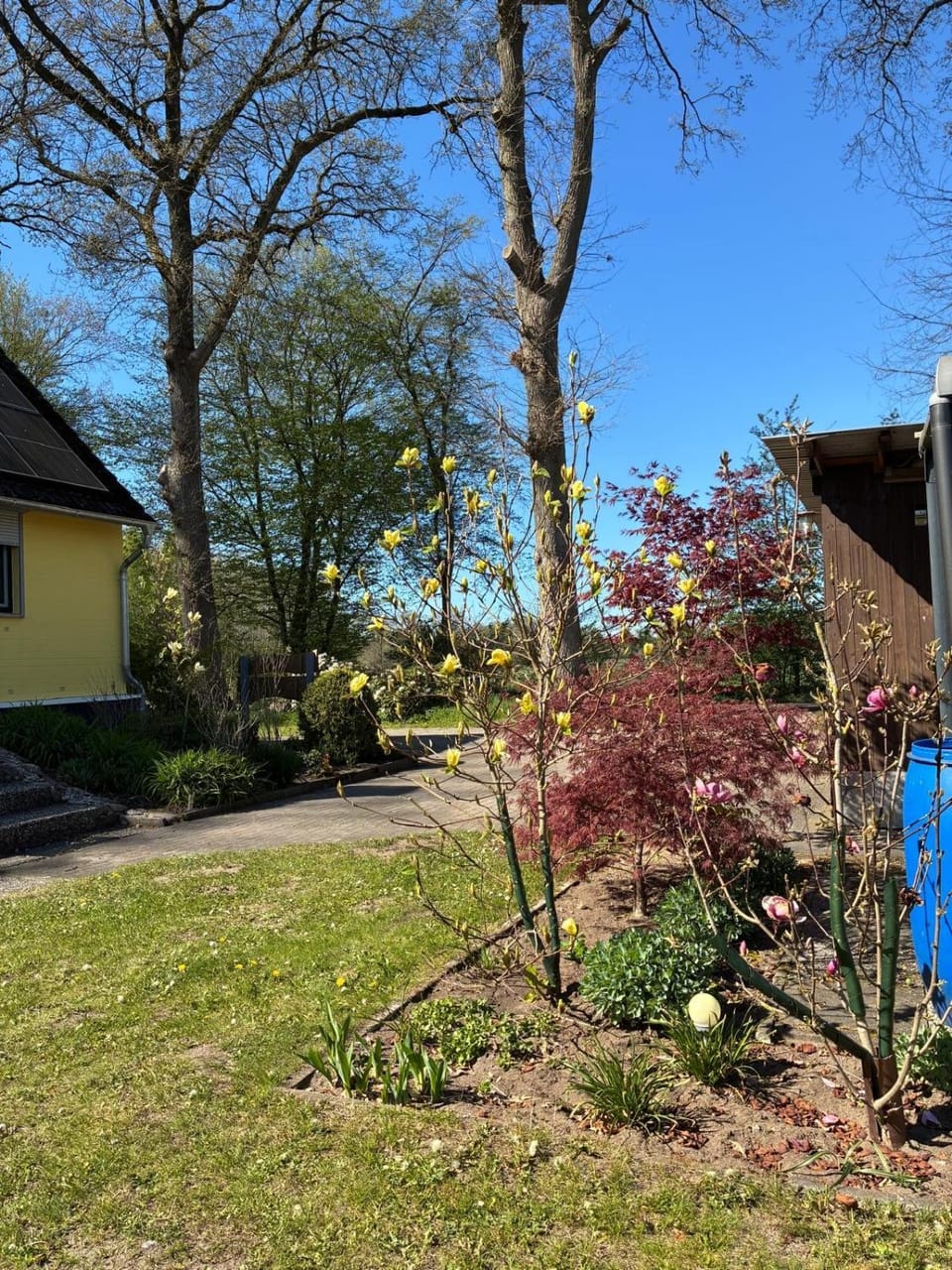 Haus Wald und Wiese Wohnung Wiese Apartment in Schleswig-Holstein