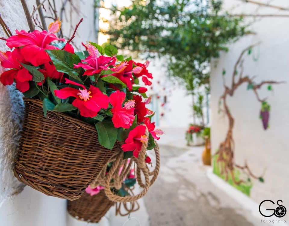 La Nghioscia House in Province of Taranto
