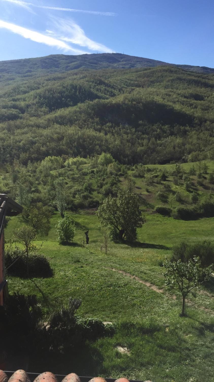 Natural landscape, Garden view