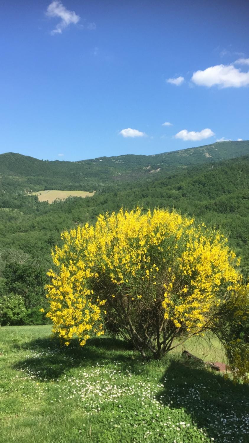 Natural landscape, Garden, Hiking, Mountain view