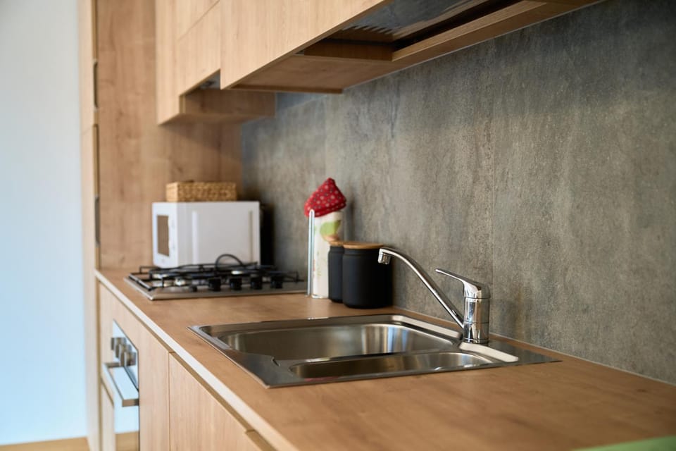 dishwasher, minibar, pet friendly, stove, washing machine