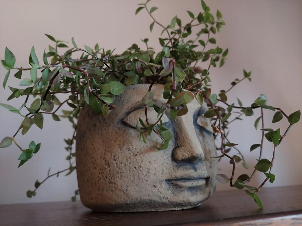 Wygodny Przestronny Apartament Janowskie Błonia Rumia Apartment in Pomeranian Voivodeship