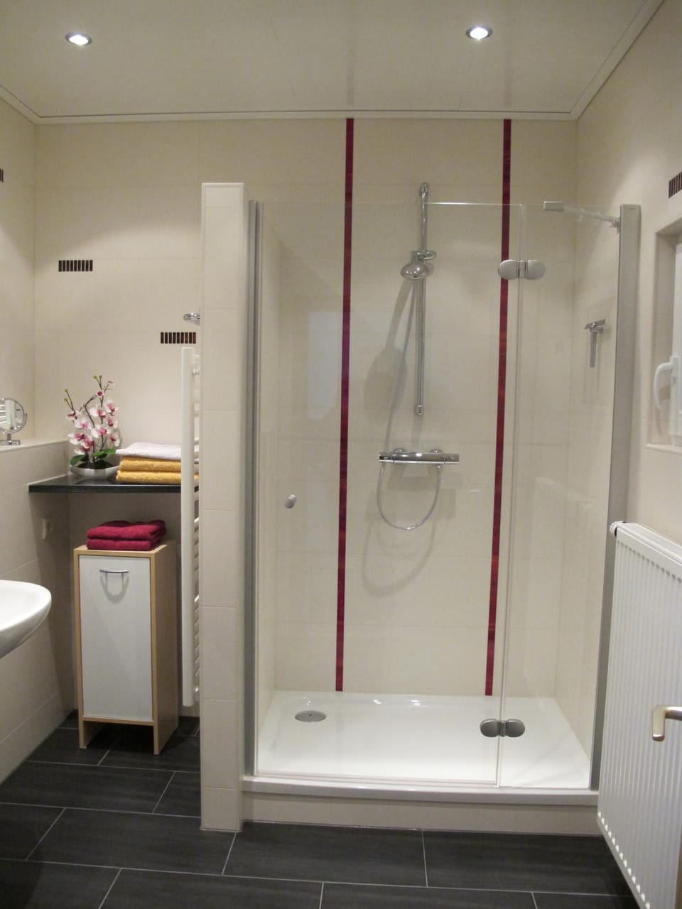 Shower, Bathroom, Photo of the whole room