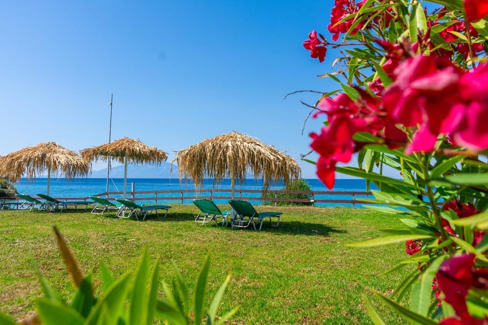 Garden, Garden view, Sea view