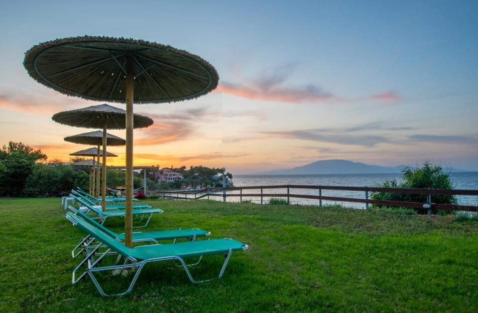 Spring, Garden, Sea view, Sunset