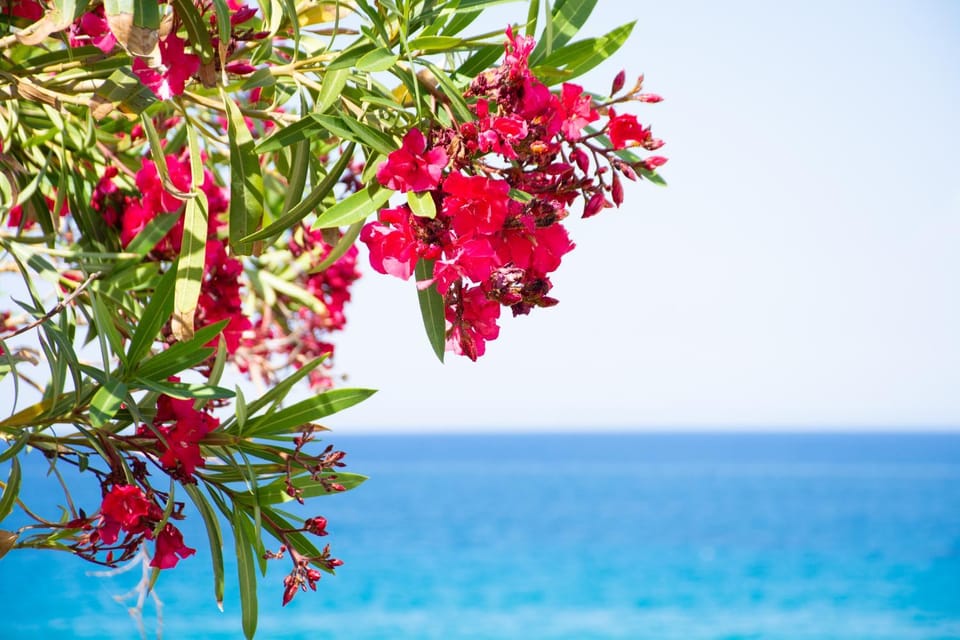 Day, Natural landscape, Sea view