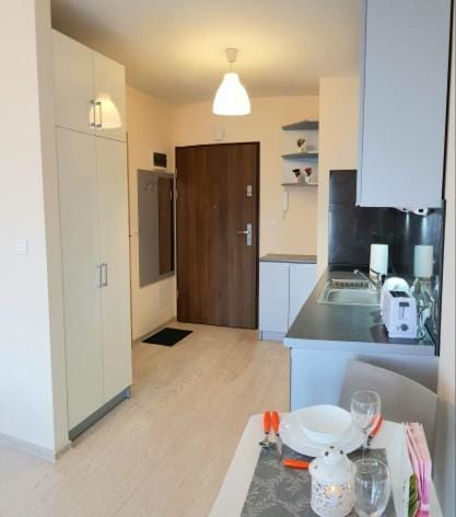 ASTORIA MAGIC GREY OLD TOWN, free parking Apartment in Krakow