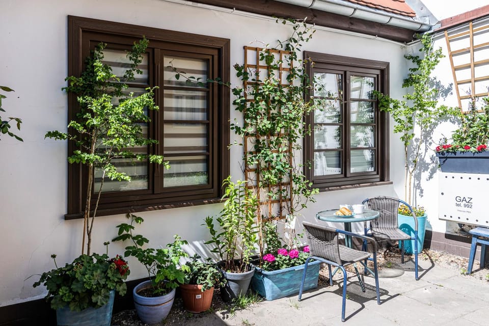 Natural landscape, View (from property/room), Garden view, Inner courtyard view, hair dresser