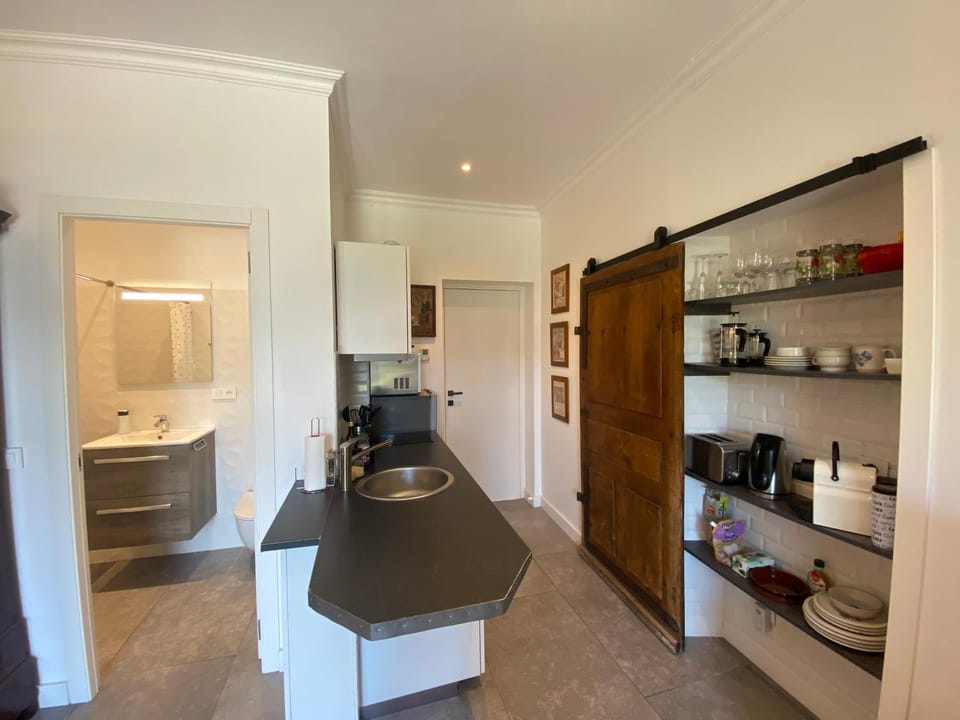Maison du Lac le Studio Apartment in Talloires