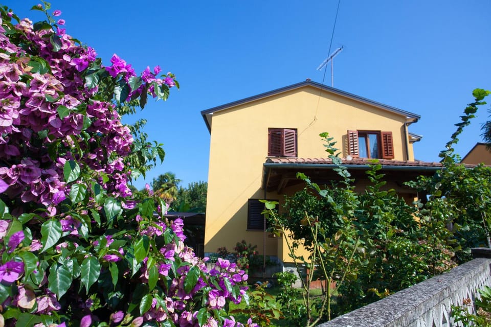 Facade/entrance, Garden view