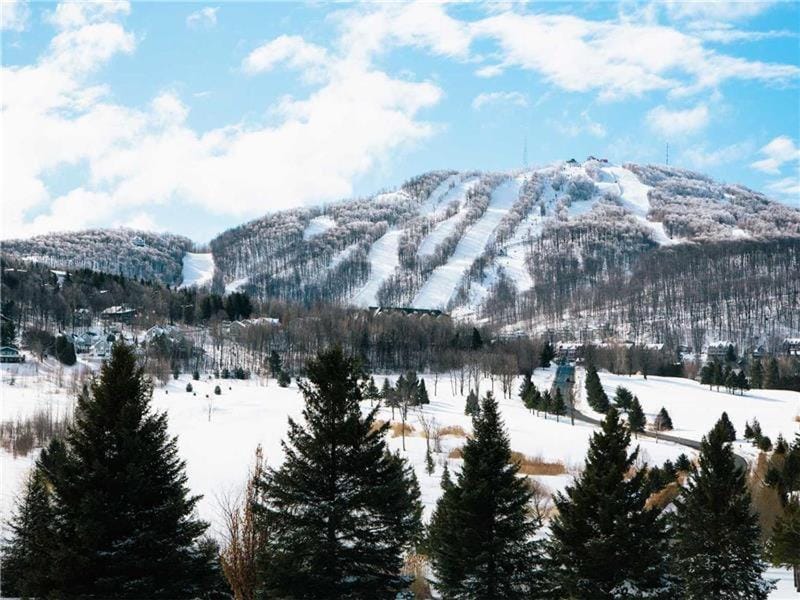 Mountain view