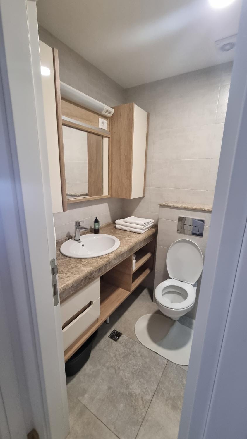 Shower, Toilet, towels