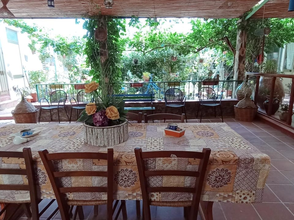 Patio, Day, Garden