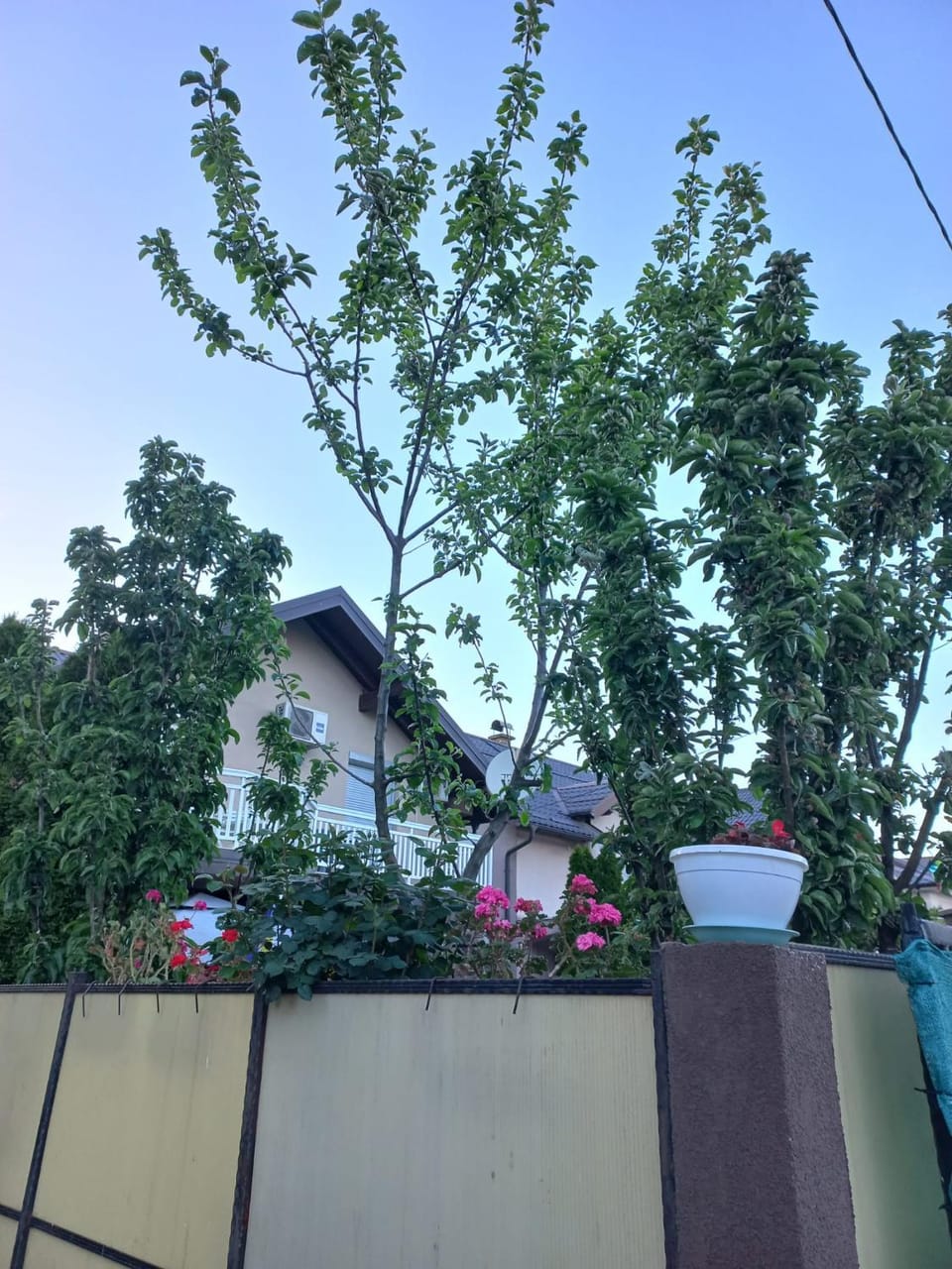 Villa Kasinda Villa in Sarajevo