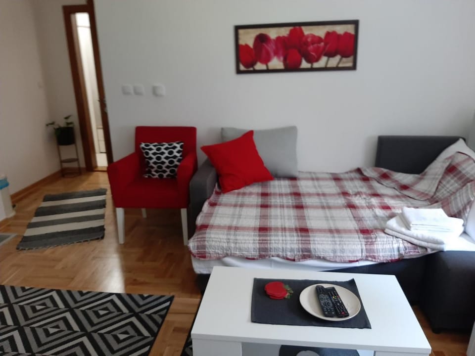 Apartman OAZA Apartment in Serbia