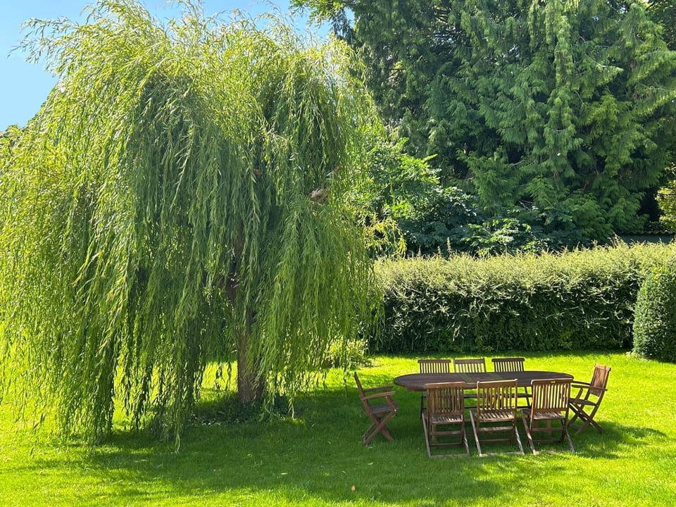 Garden, Garden view
