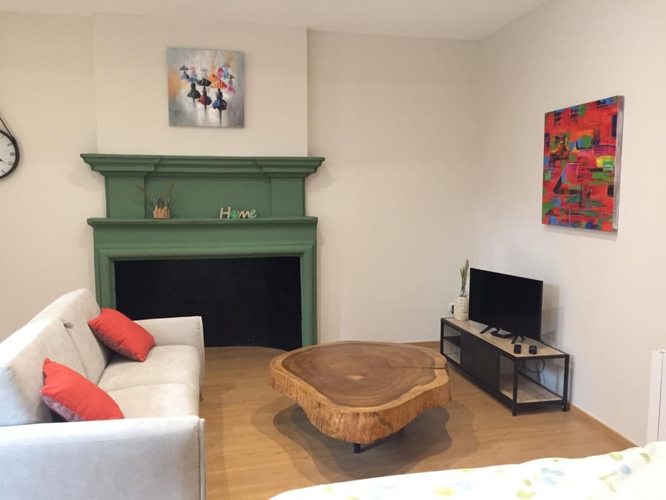 Ancien couvent dans le centre historique de Valence Apartment in Valence