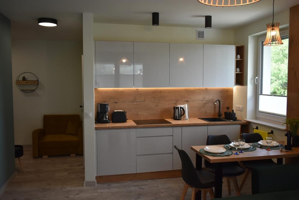 Coffee/tea facilities, Kitchen or kitchenette, minibar, pet friendly, stove, toaster
