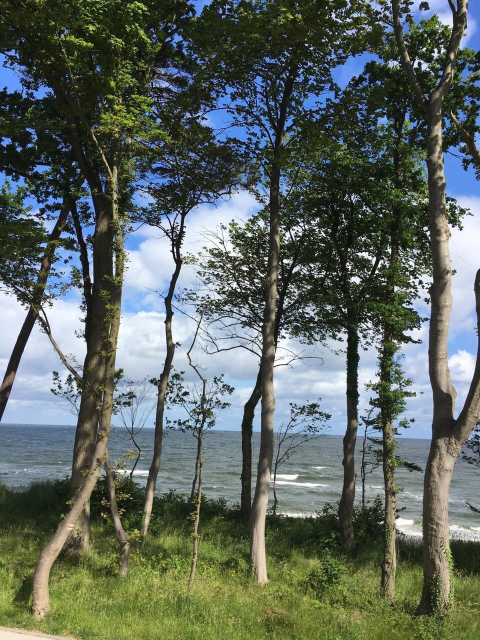 Natural landscape, Sea view