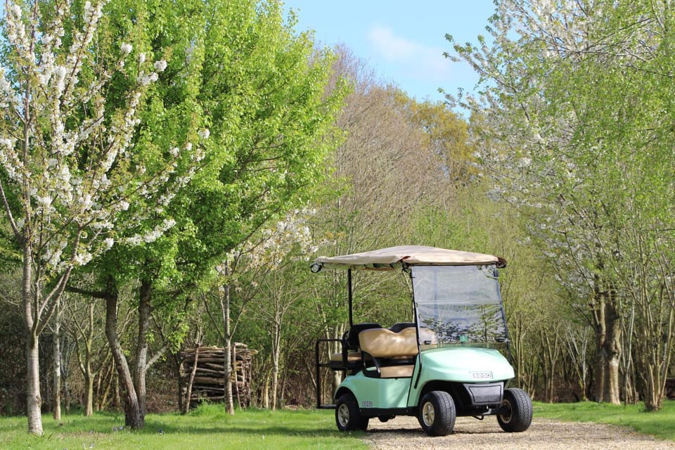 Activities, Garden, Facility for disabled guests