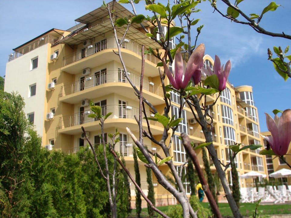 Property building, Garden