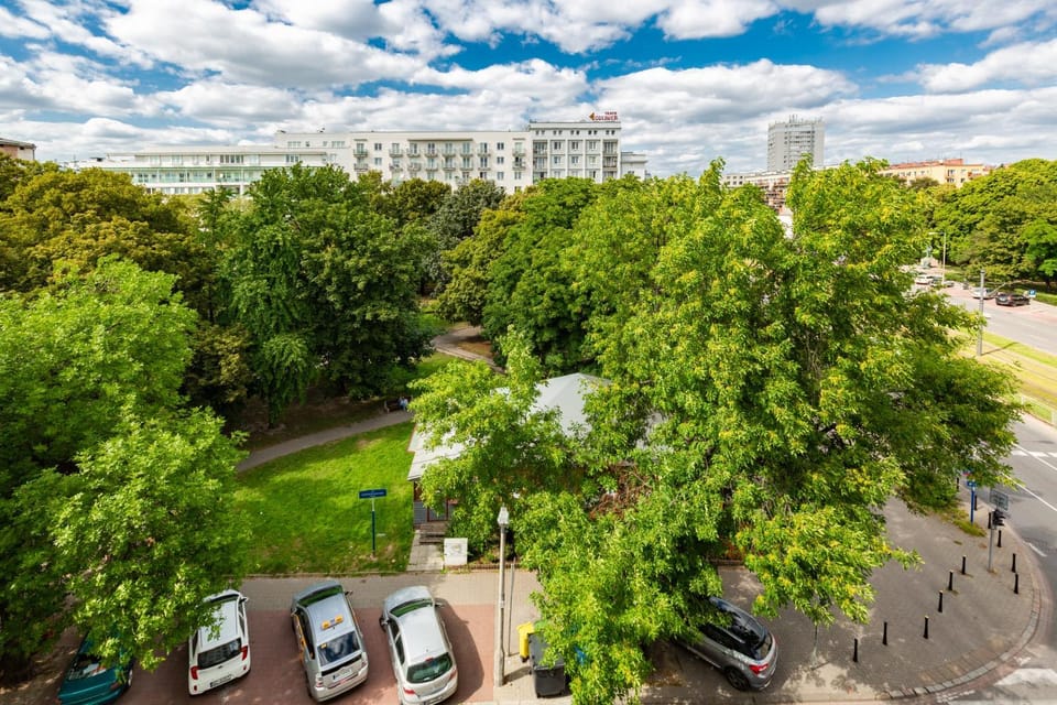City view, Street view