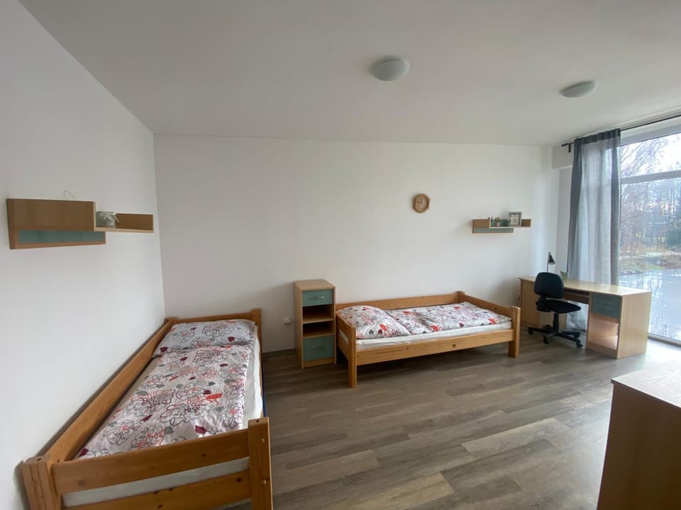 Bed, Photo of the whole room, Bedroom
