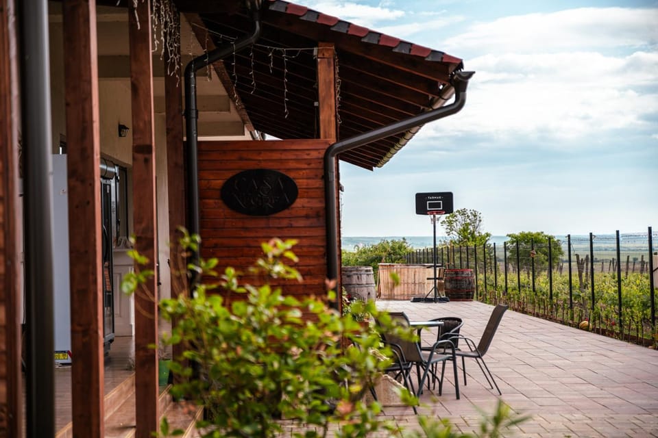 Pensiunea Casa Negrea Bed and Breakfast in Romania