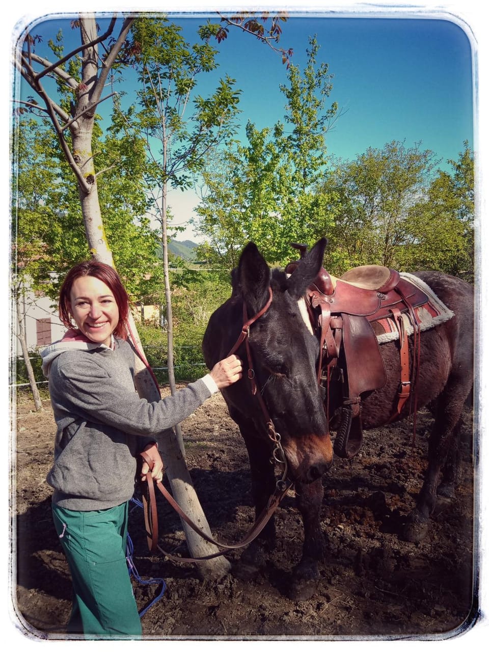 Bed and Breakfast Balli coi Lupi Bed and Breakfast in Emilia-Romagna