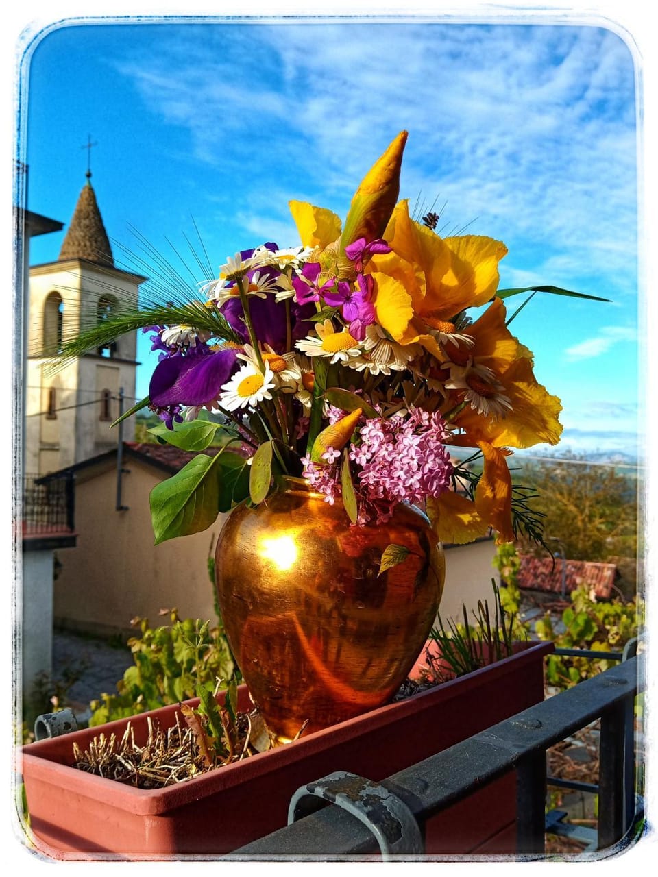 Bed and Breakfast Balli coi Lupi Bed and Breakfast in Emilia-Romagna