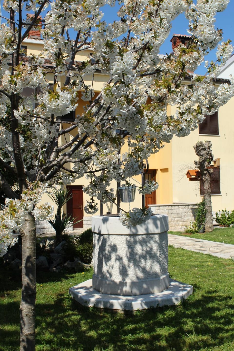 Spring, Garden, Garden view