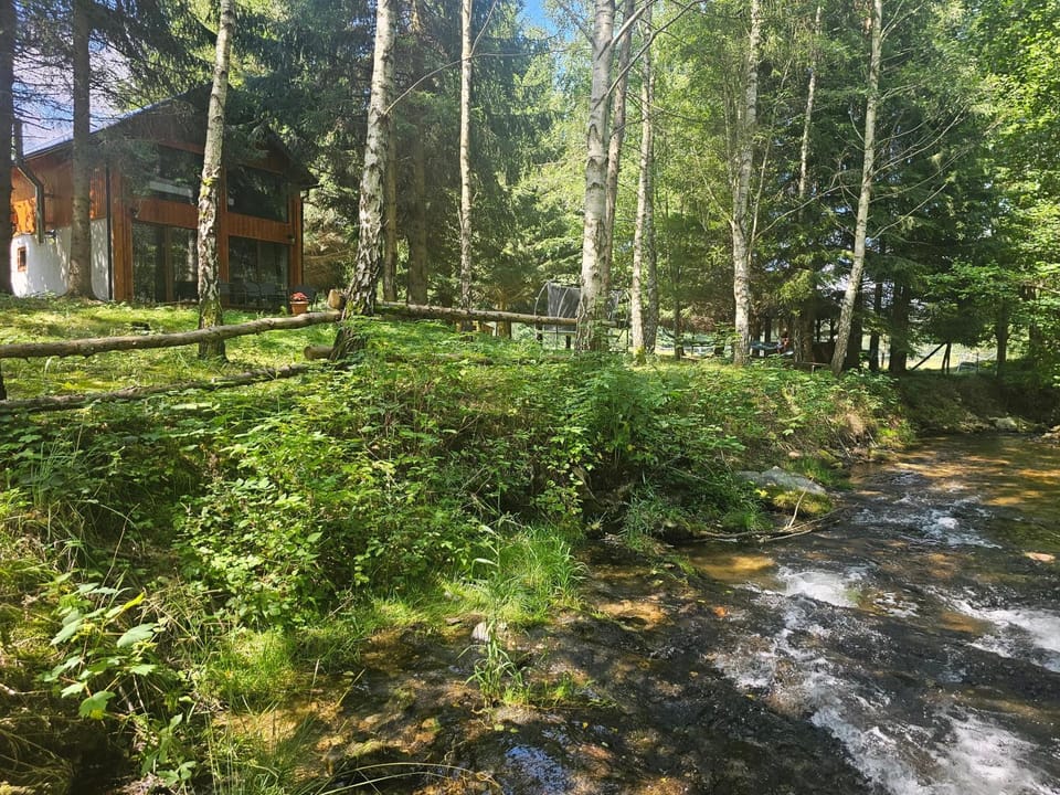 Property building, Garden, River view