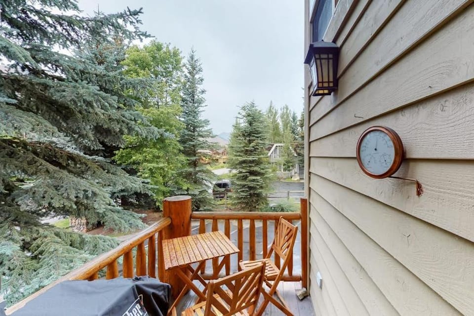 Big Wood River Run Apartment in Ketchum
