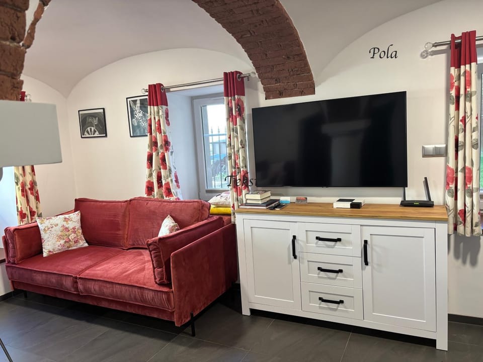 TV and multimedia, Other