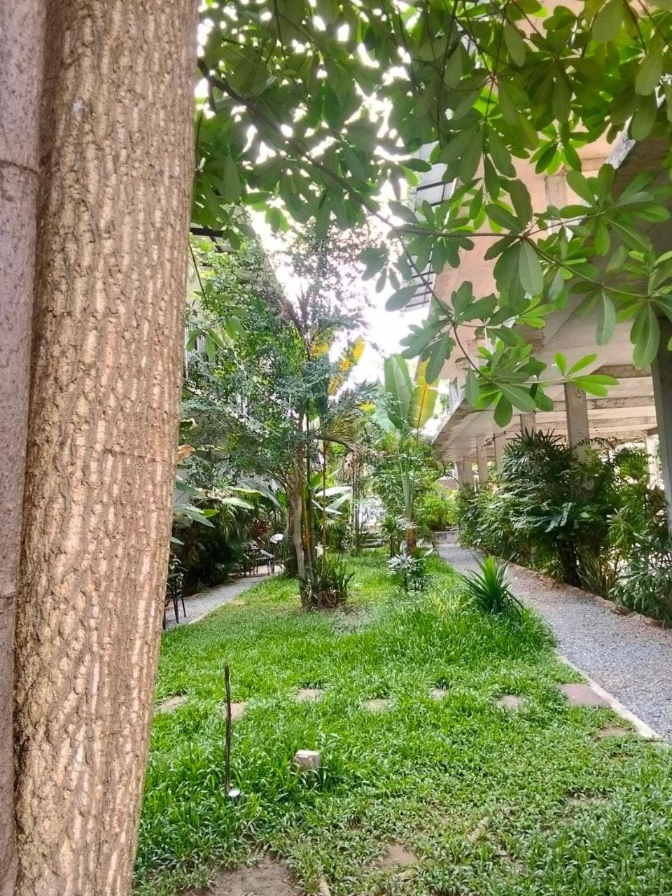 Day, Garden, Garden view