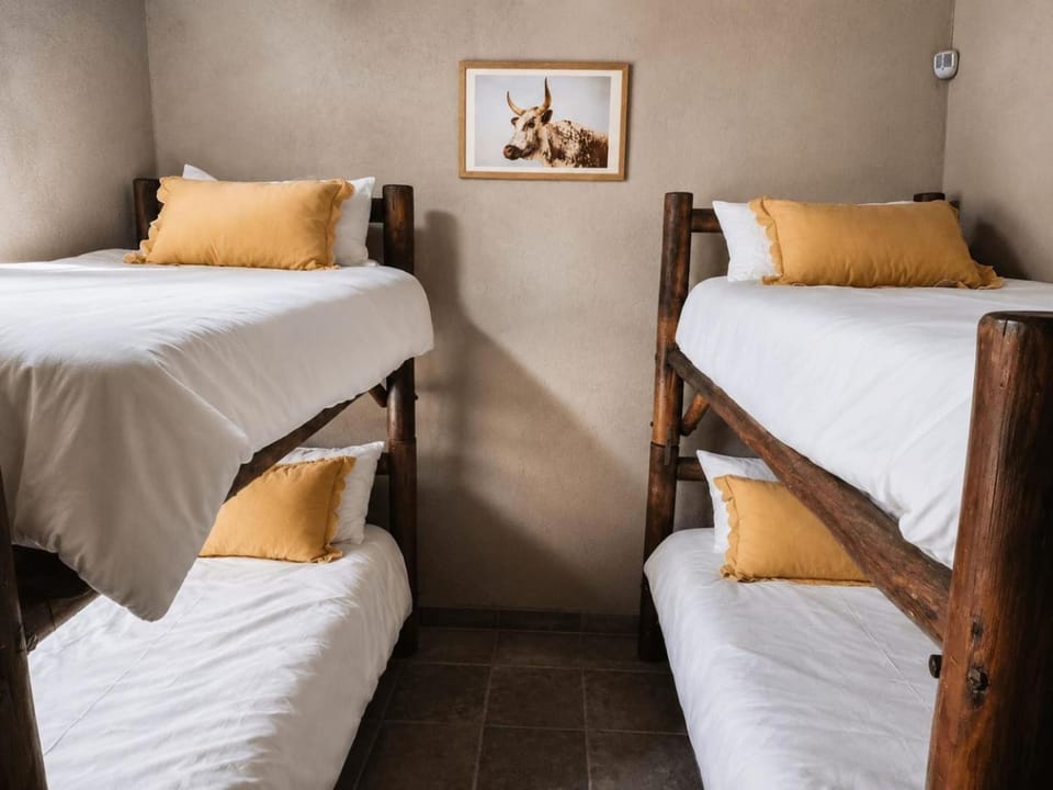 bunk bed