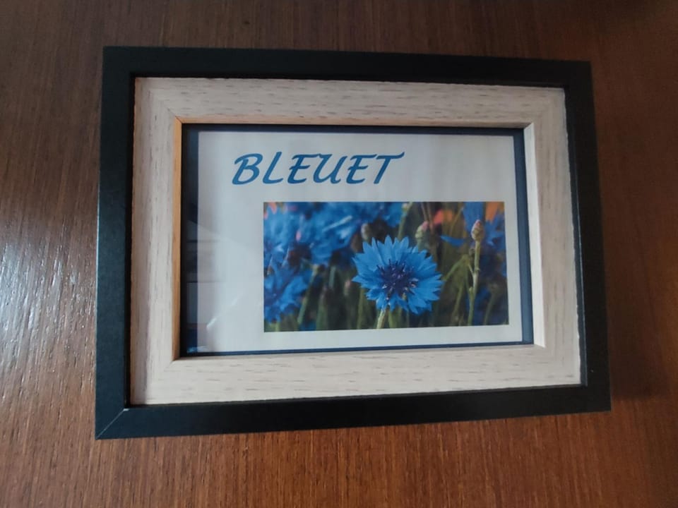 Logo/Certificate/Sign