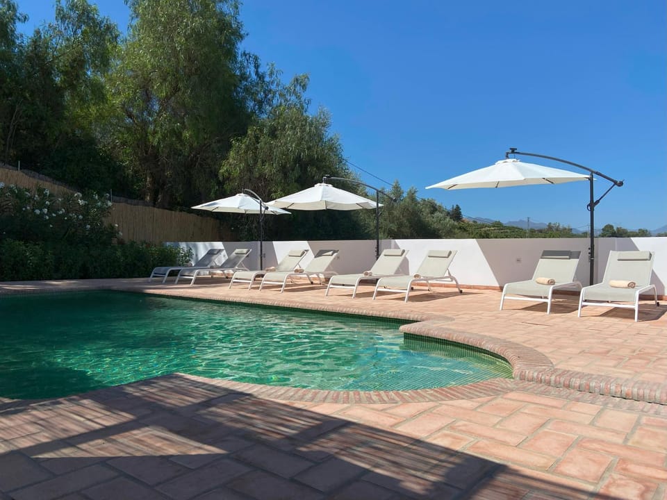 Patio, Pool view, Swimming pool, sunbed