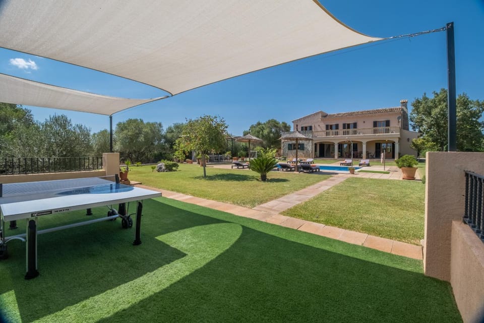 Garden, Table tennis