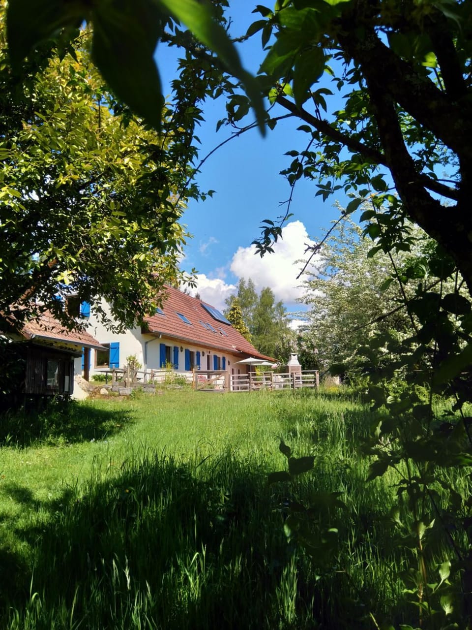 Property building, Garden view