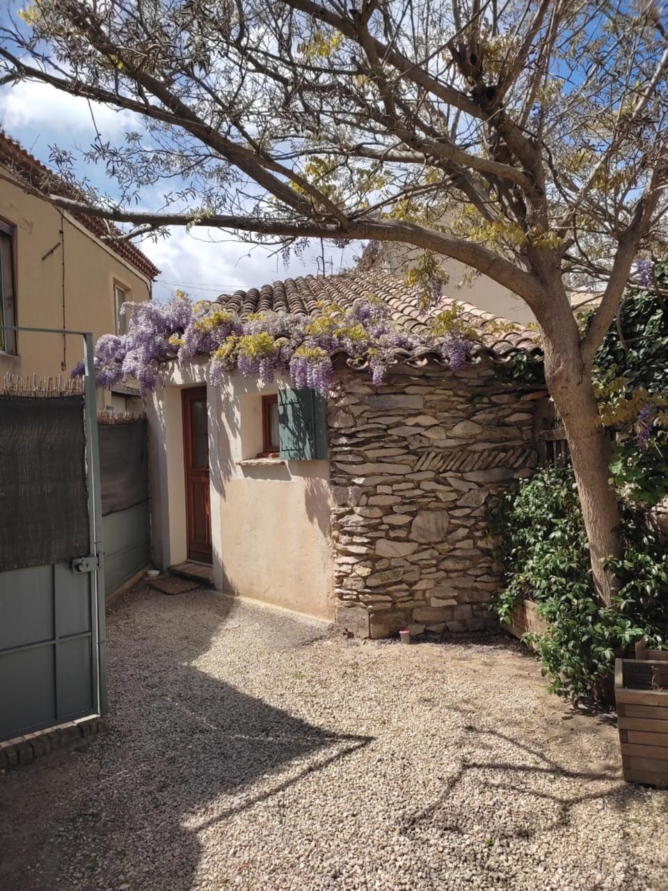 Mazet indépendant Tavel - Le Mas de l Acacia Apartment in Rochefort-du-Gard