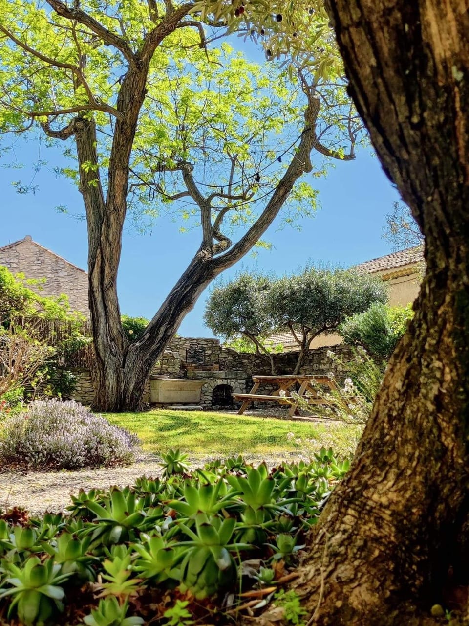 Suite privee Tavel - Le Mas de l Acacia Bed and Breakfast in Rochefort-du-Gard