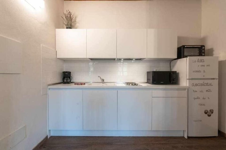 Elegant Green Apartment In San Gallo Firenze Apartment in Florence