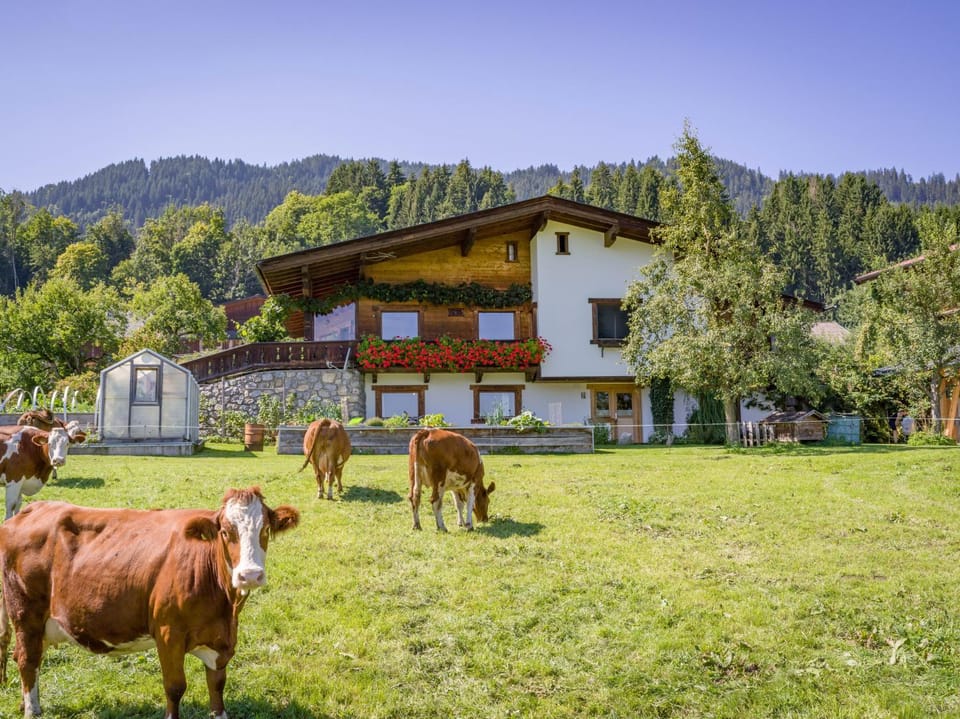 Property building, Summer, Garden, Animals