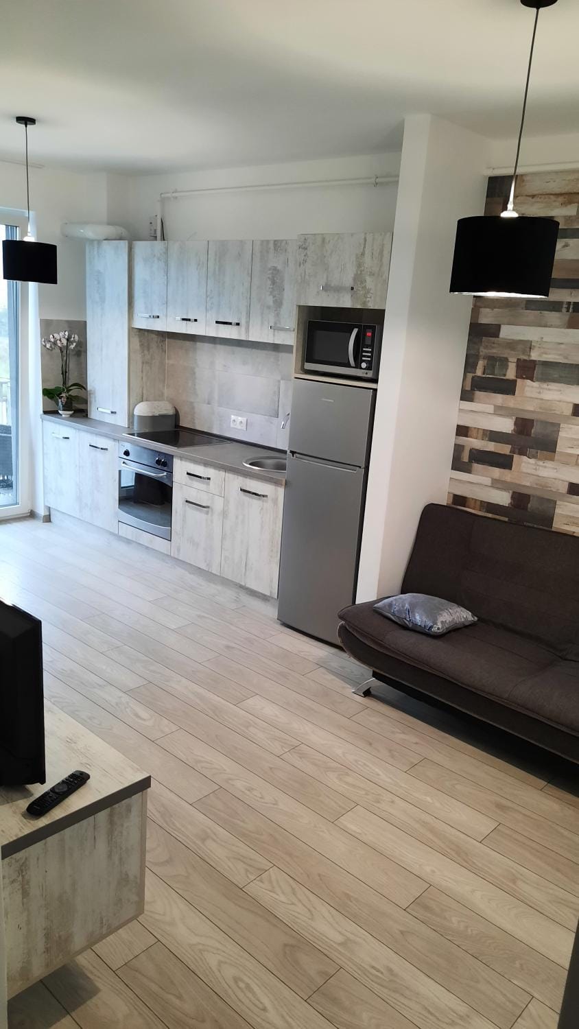 Grey Residence Apartament Apartment in Romania