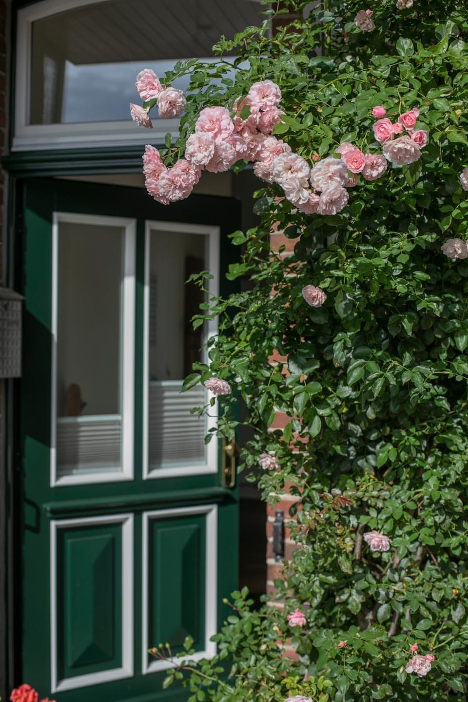 HausAltenkamp Apartment in Lower Saxony, Germany
