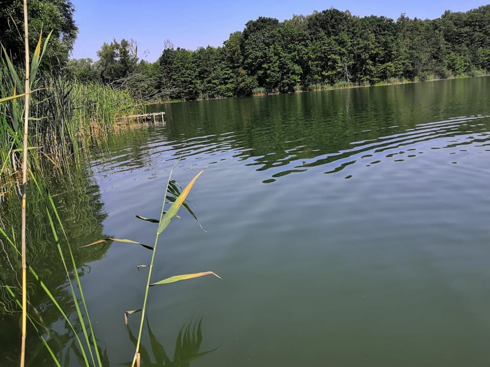 Day, Natural landscape, Lake view