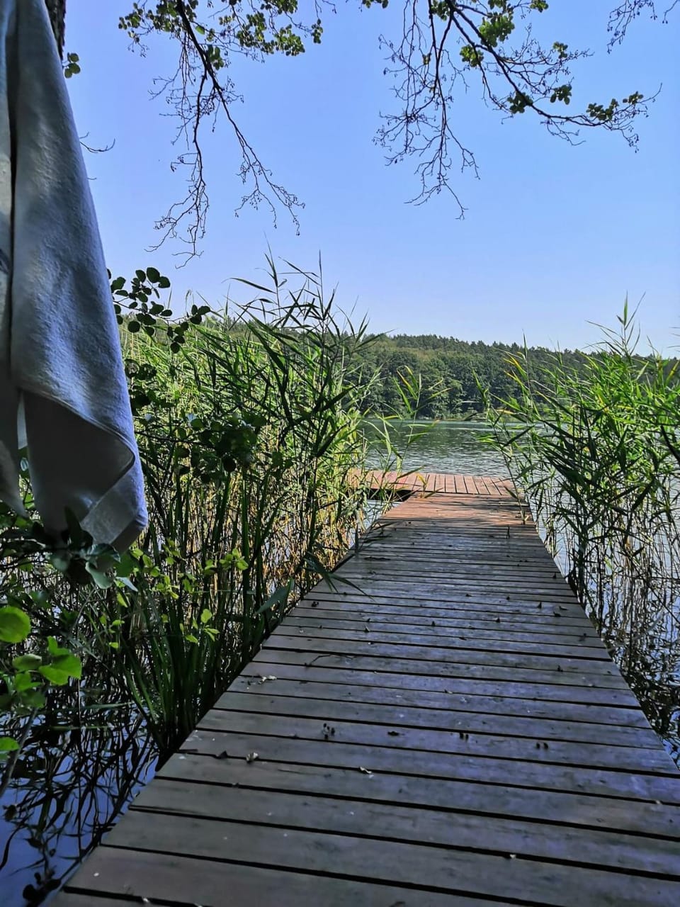 Day, Natural landscape, Lake view