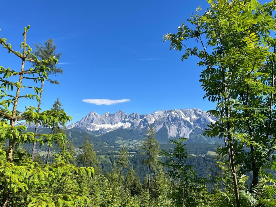 Natural landscape, Summer, Hiking