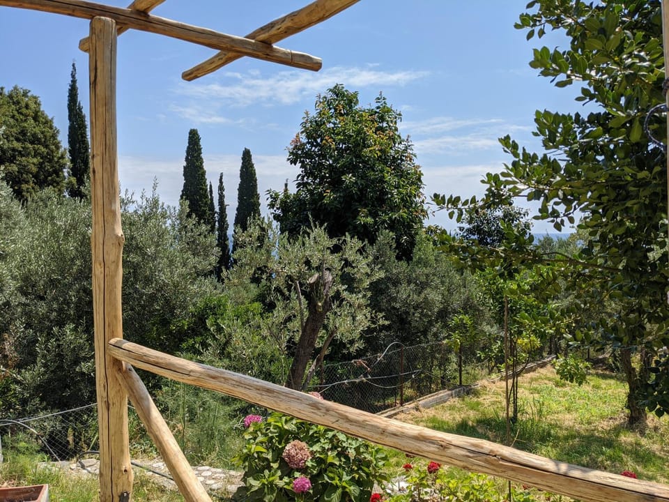 Daria's Home House in Magnesia Prefecture, Greece
